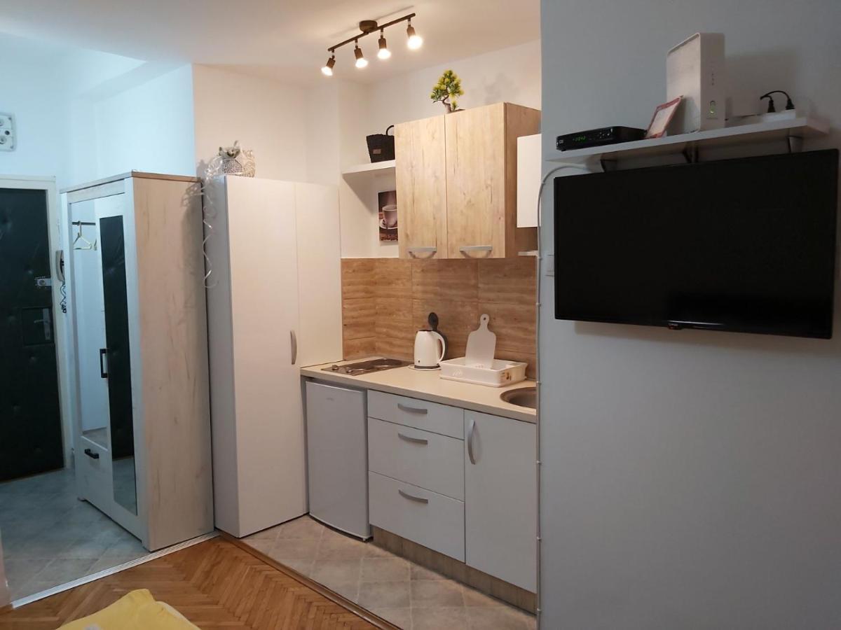 Studio 17 Apartment Belgrade Luaran gambar